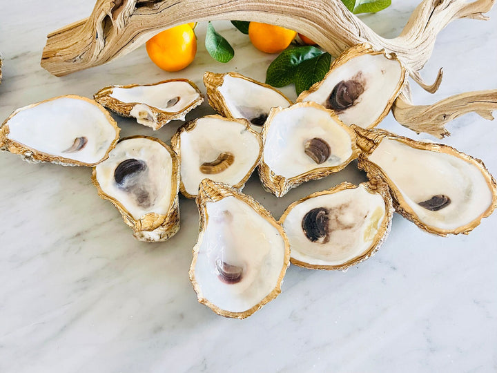 Gilded Oyster Shell Jewelry Dish - Medium