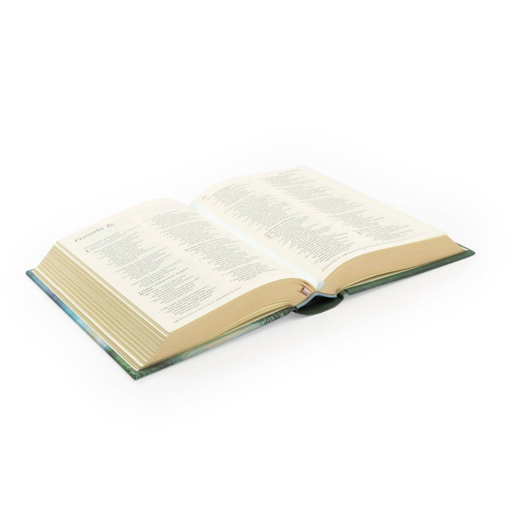 Hosanna Revival - NLT Compact Bible: Prairie Theme