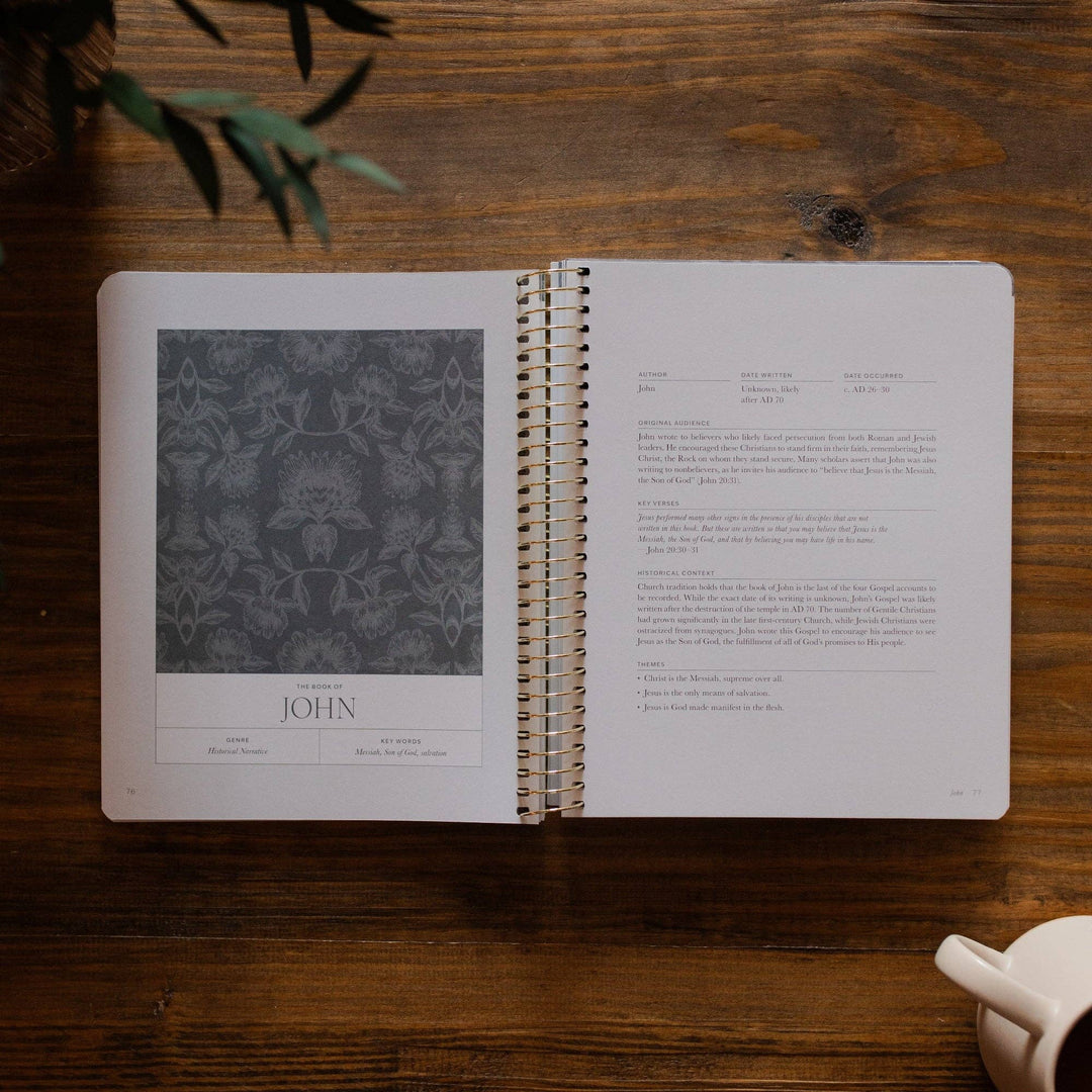 A Year in the Bible Volume 4 365 Days of Discovering the Beauty of Jesus from Genesis to Revelation | Volume 4