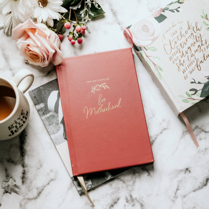 The Daily Grace Co - Praying Scripture for Motherhood Journal