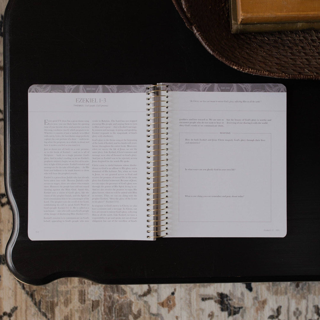 A Year in the Bible Volume 3 | 365 Days of Discovering the Beauty of Jesus from Genesis to Revelation | Volume 3