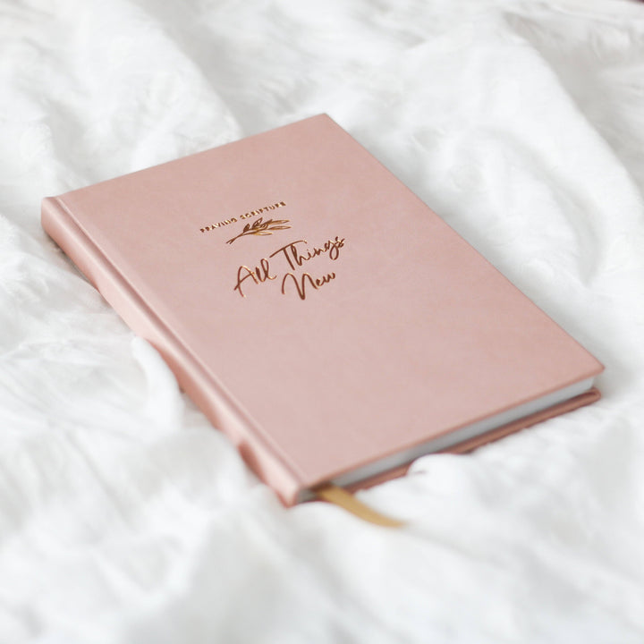 The Daily Grace Co - All Things New  - Praying Scripture Journal