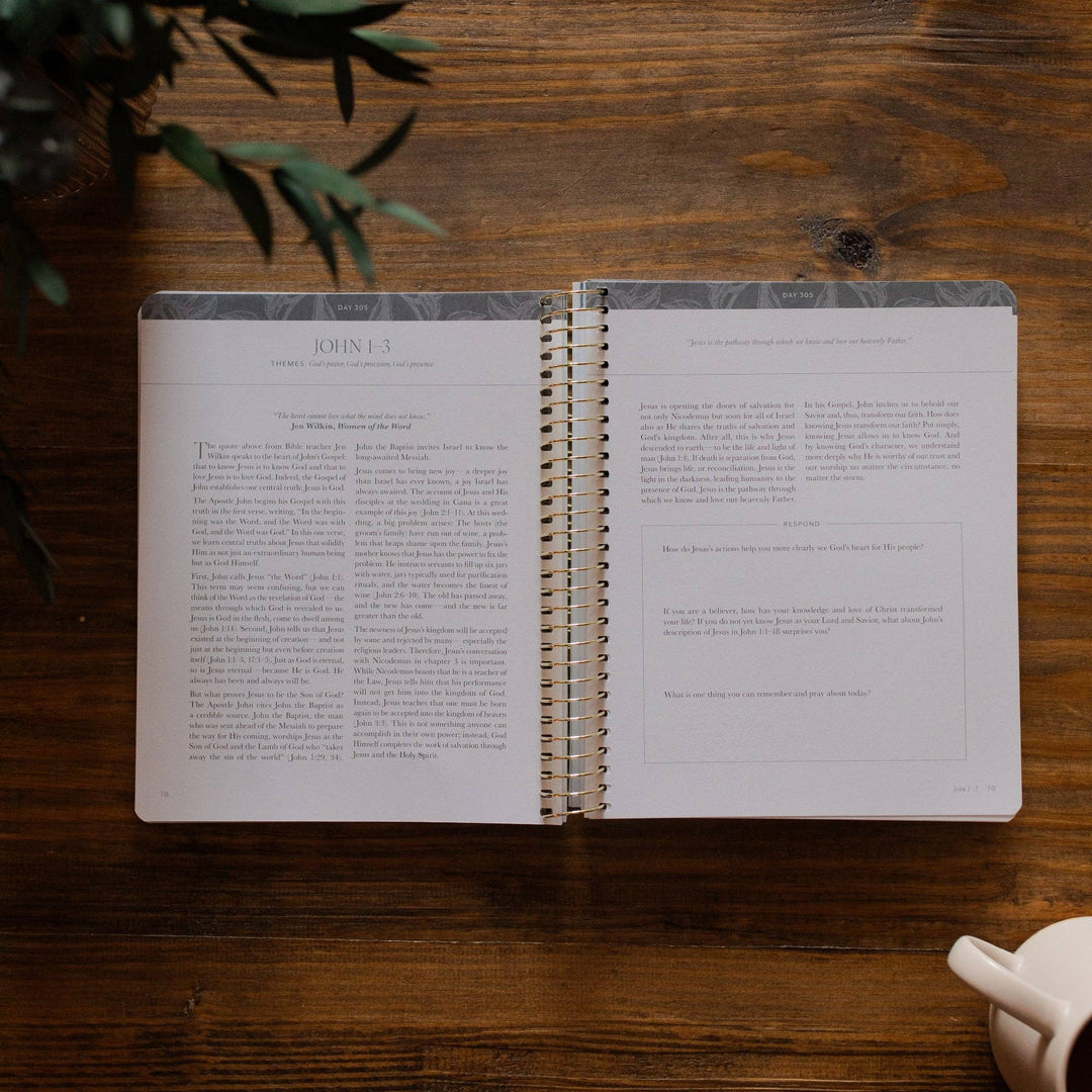 A Year in the Bible Volume 4 365 Days of Discovering the Beauty of Jesus from Genesis to Revelation | Volume 4