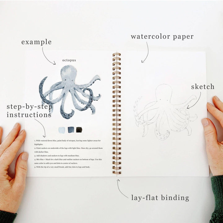 emily lex studio - Seaside watercolor workbook