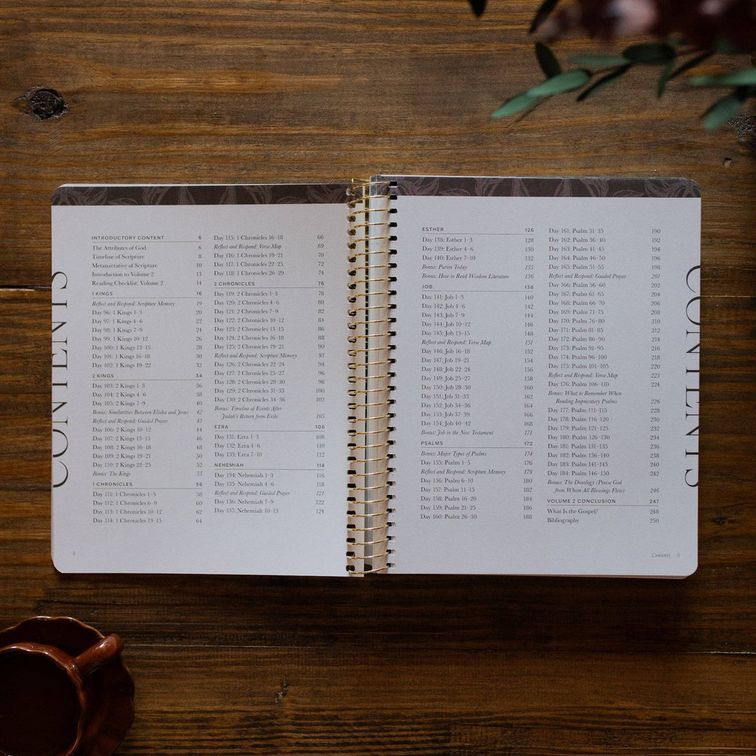 The Daily Grace Co - A Year in the Bible Volume 2 365 Days of Discovering the Beauty of Jesus from Genesis to Revelation | Volume 2