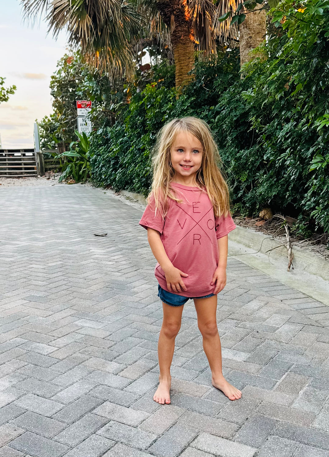 Vero Toddler Tee Shirt - Mauve and Wine