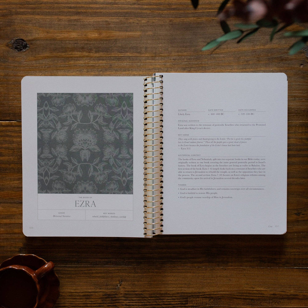 The Daily Grace Co - A Year in the Bible Volume 2 365 Days of Discovering the Beauty of Jesus from Genesis to Revelation | Volume 2