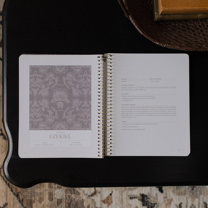 A Year in the Bible Volume 3 | 365 Days of Discovering the Beauty of Jesus from Genesis to Revelation | Volume 3