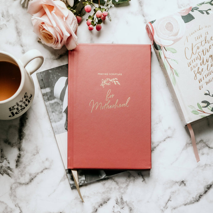 The Daily Grace Co - Praying Scripture for Motherhood Journal