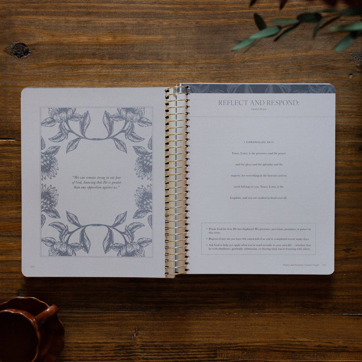 The Daily Grace Co - A Year in the Bible Volume 2 365 Days of Discovering the Beauty of Jesus from Genesis to Revelation | Volume 2