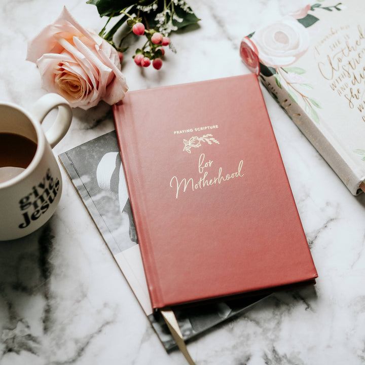 The Daily Grace Co - Praying Scripture for Motherhood Journal