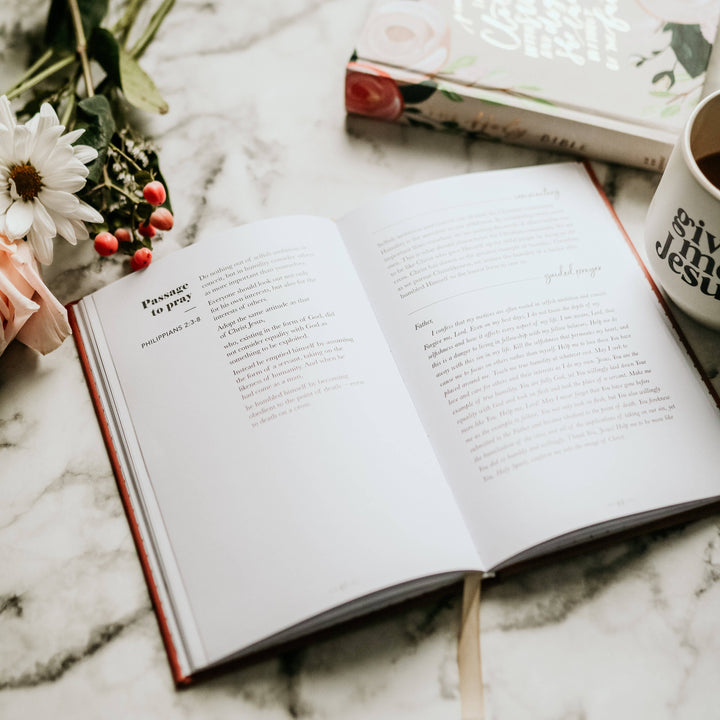 The Daily Grace Co - Praying Scripture for Motherhood Journal