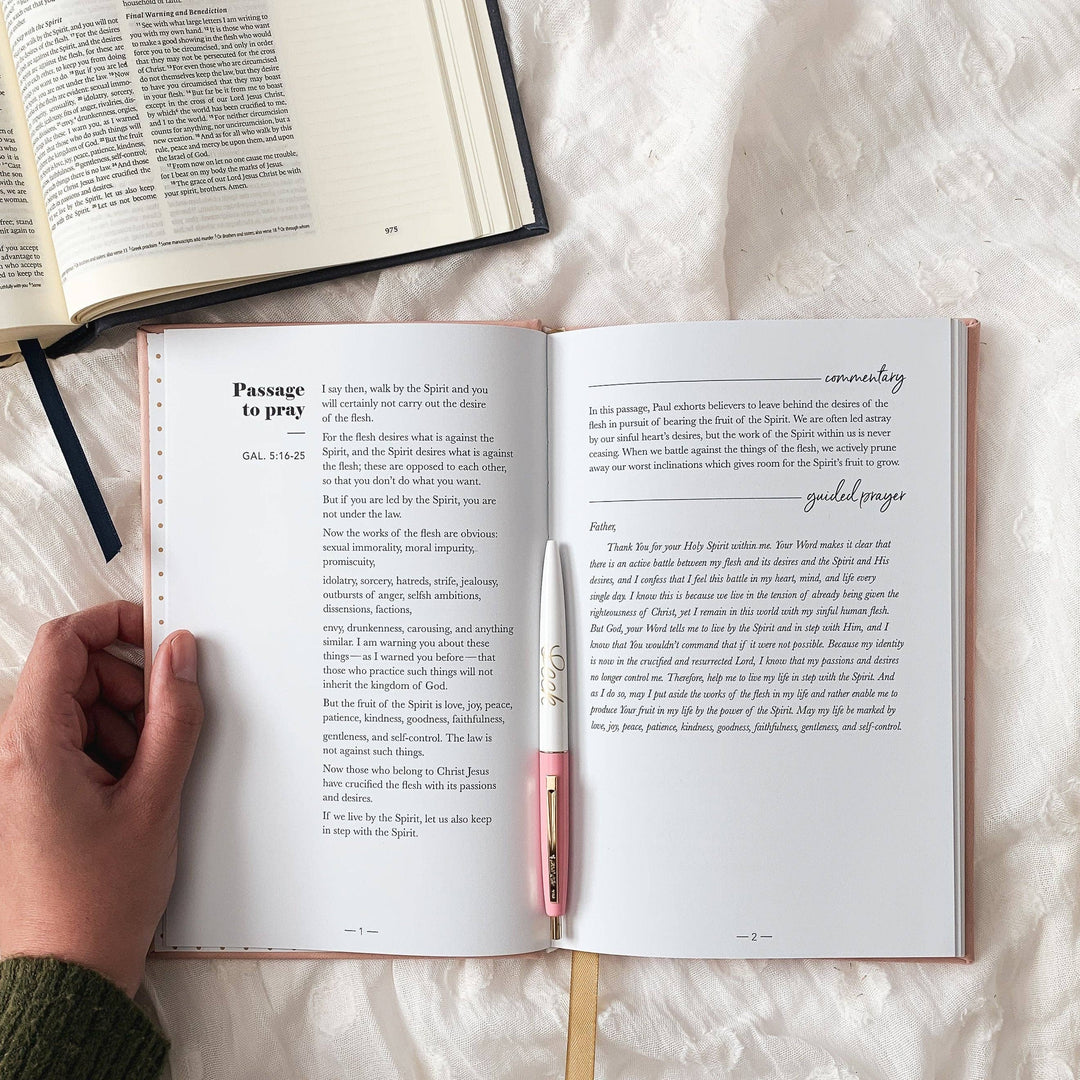 The Daily Grace Co - All Things New  - Praying Scripture Journal