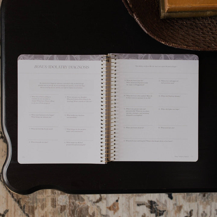 A Year in the Bible Volume 3 | 365 Days of Discovering the Beauty of Jesus from Genesis to Revelation | Volume 3