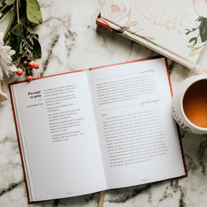 The Daily Grace Co - Praying Scripture for Motherhood Journal