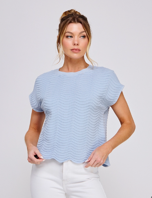 The True Vine Knit Top - Soft Blue