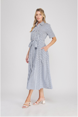 Summer Daze Seersucker Dress