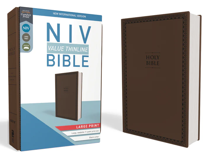 NIV Bible Large Print - Brown