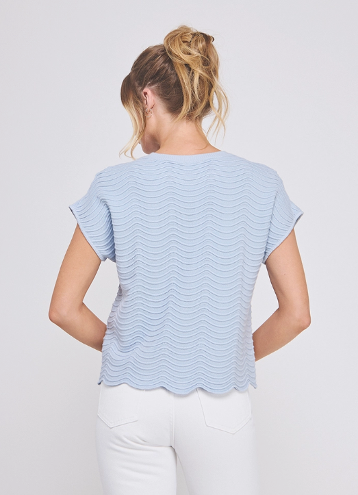 The True Vine Knit Top - Soft Blue