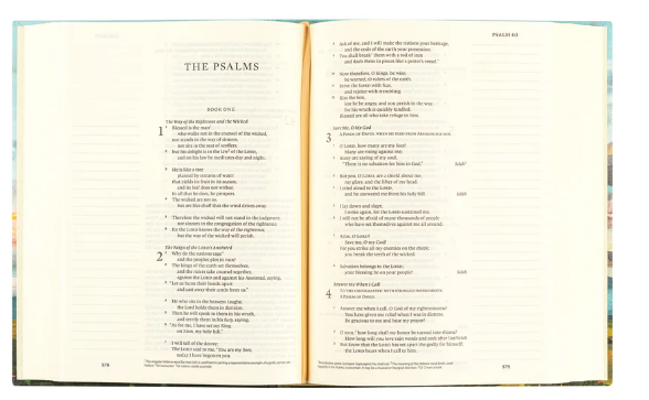 ESV Journaling Bible - Santa Lucia