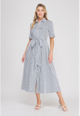 Summer Daze Seersucker Dress