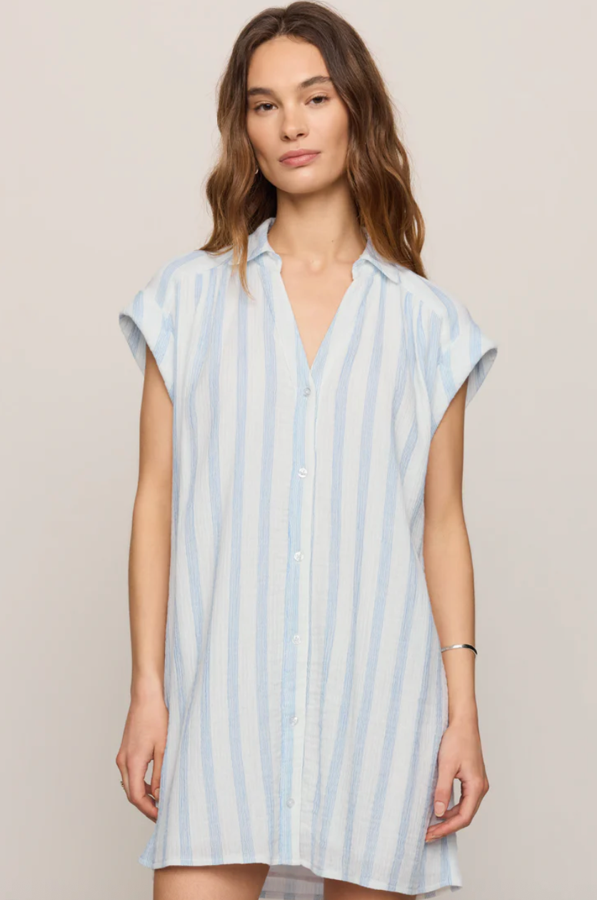 Z Supply Shellbound Dress - Sea Salt