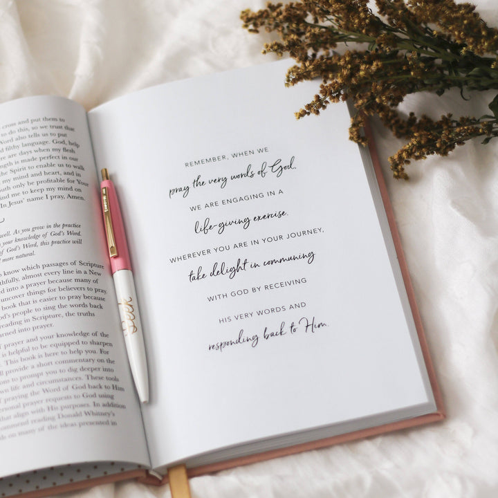 The Daily Grace Co - All Things New  - Praying Scripture Journal