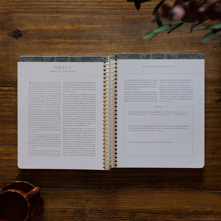 The Daily Grace Co - A Year in the Bible Volume 2 365 Days of Discovering the Beauty of Jesus from Genesis to Revelation | Volume 2