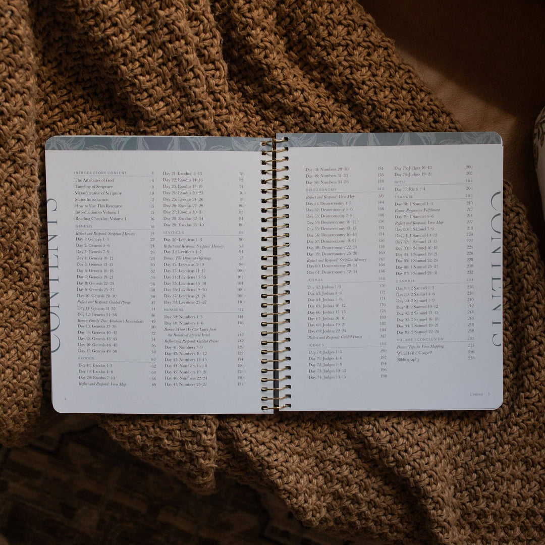The Daily Grace Co - A Year in the Bible | 365 Days of Discovering the Beauty of Jesus from Genesis to Revelation | Volume 1