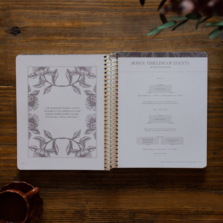 The Daily Grace Co - A Year in the Bible Volume 2 365 Days of Discovering the Beauty of Jesus from Genesis to Revelation | Volume 2