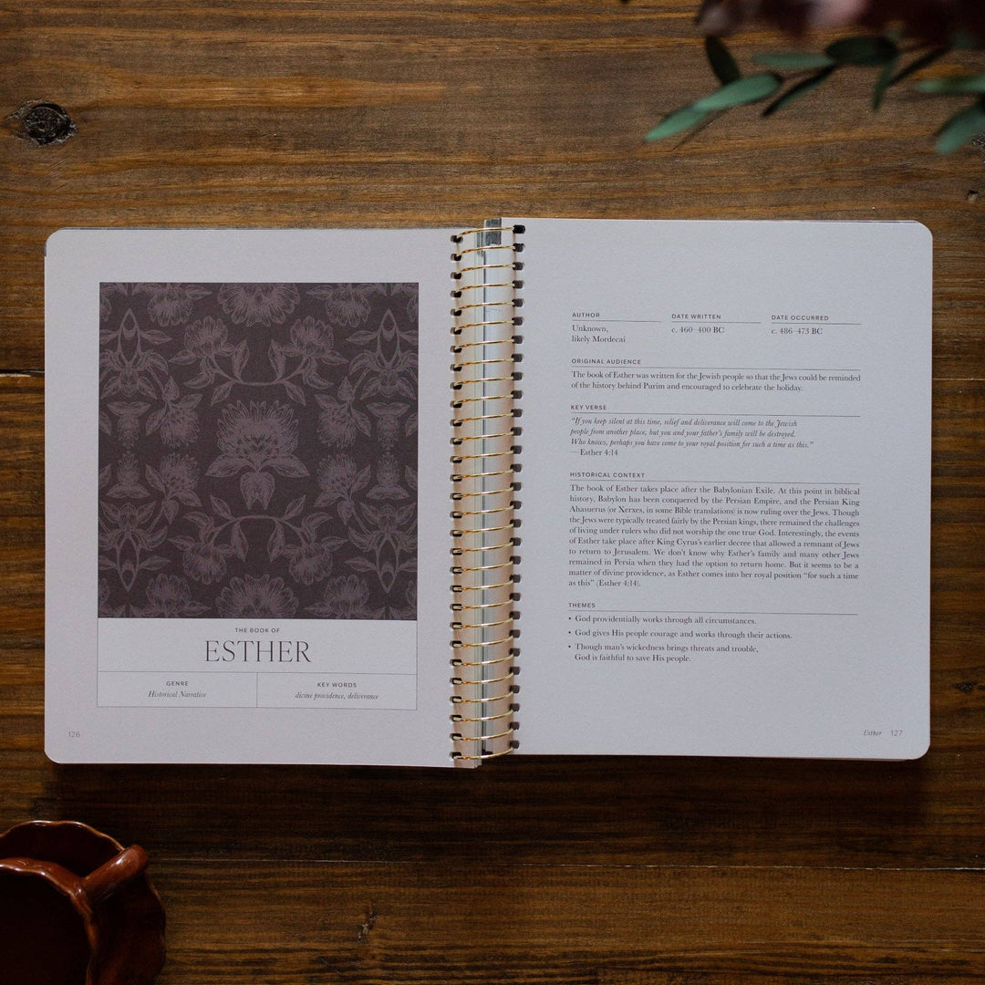 The Daily Grace Co - A Year in the Bible Volume 2 365 Days of Discovering the Beauty of Jesus from Genesis to Revelation | Volume 2