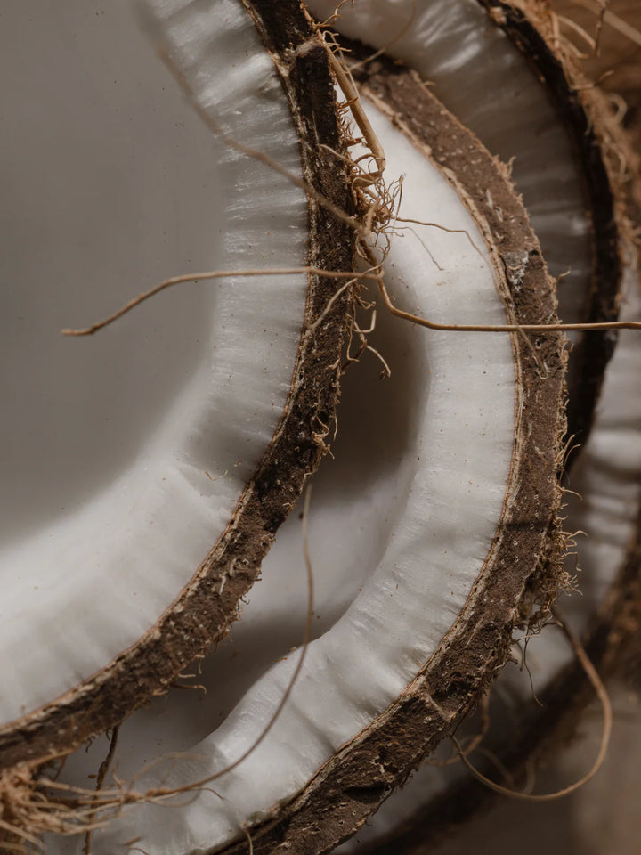 Pura Refill - Coconut Calm by Becki Owens