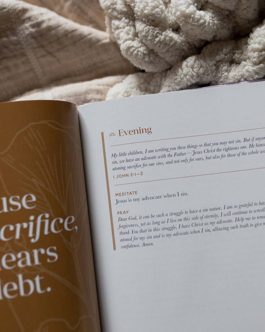 Grace From Day To Night | A 40-day Morning and Evening Devotional