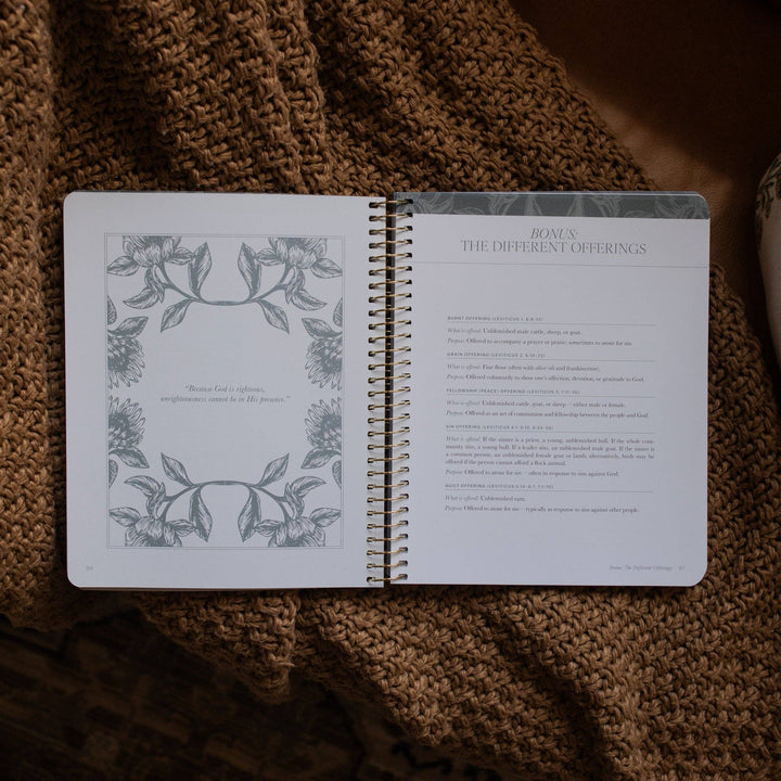 The Daily Grace Co - A Year in the Bible | 365 Days of Discovering the Beauty of Jesus from Genesis to Revelation | Volume 1