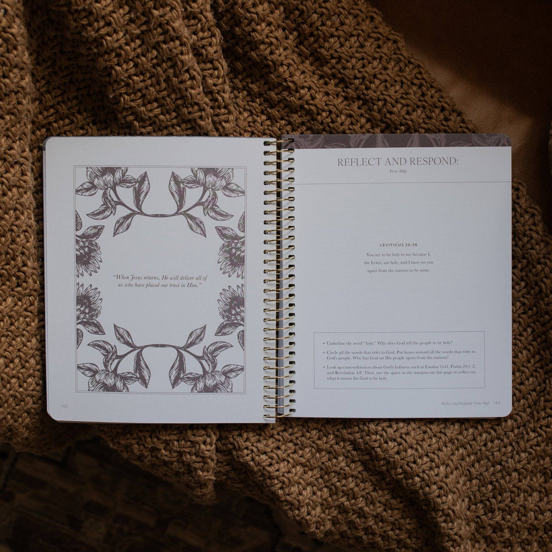 The Daily Grace Co - A Year in the Bible | 365 Days of Discovering the Beauty of Jesus from Genesis to Revelation | Volume 1