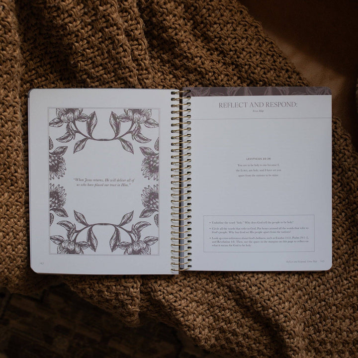 The Daily Grace Co - A Year in the Bible | 365 Days of Discovering the Beauty of Jesus from Genesis to Revelation | Volume 1