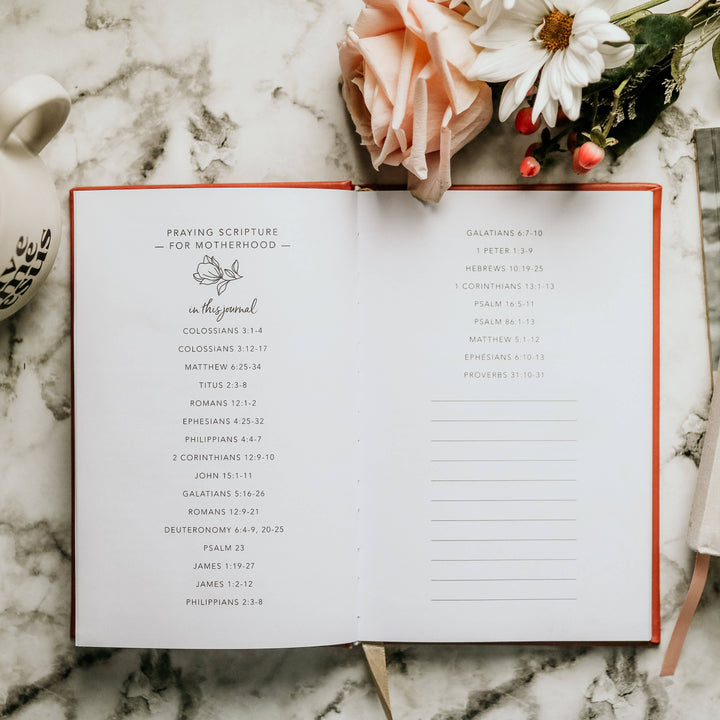 The Daily Grace Co - Praying Scripture for Motherhood Journal