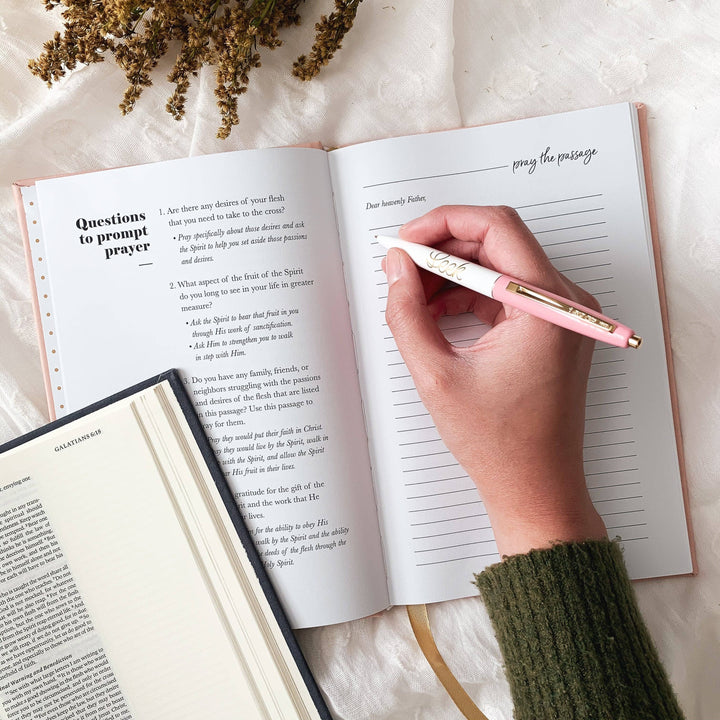 The Daily Grace Co - All Things New  - Praying Scripture Journal