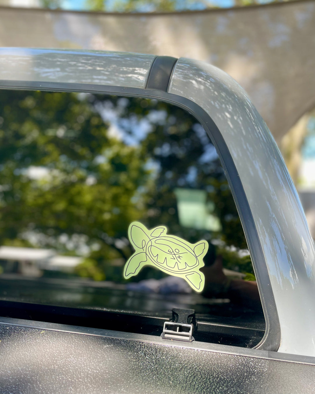 Vero Turtle Decal